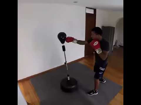 HOMCOM Pera de Boxeo de Pie Punching Ball con Base Estable para Entrenar  Reflejos y Coordinación Ajustable en Altura para Adulto y Adolescente  Ф48x136-154cm Rojo Soporte Gimnasio Oficina Casa