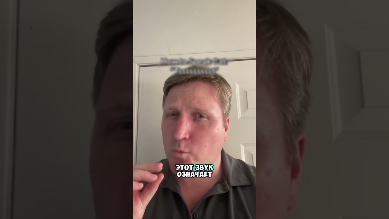 Мужчина научился общаться с котом