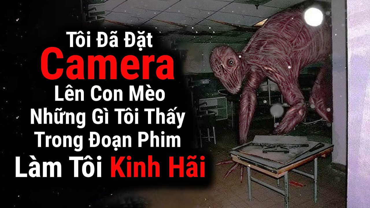 Tôi Đã Đặt Camera Lên Trên Con Mèo Của Mình Những Gì Tôi Thấy Khiến Tôi Kinh Hãi | nosleep