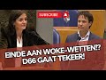 Partij omtzigt maakt een einde aan wokewetten d66 gaat helemaal tekeer