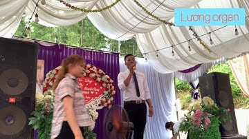 Liên khúc cha cha cha quê tôi tân lạc mường bi, lời thương, cơm mường vó lúa mường vang