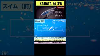 【水中映像】カナタ 鮎 SWはメガバスの使いやすいビッグミノー！
