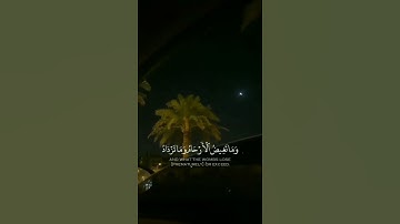 قرآن كريم بصوت القارئ انس الشافعى