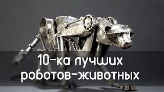 10 самых наикрутейших роботов животных. 10 самых наикрутейших роботов животных.