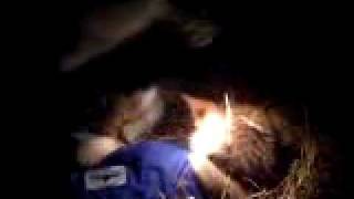 Celebrity Lance Mackey interview in Ruby (Part III) Wealth