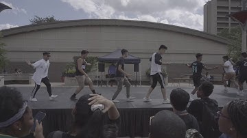 UIC Theta Lambda Beta Meet The Greeks 2019