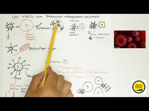 Vídeo: Diferencia Entre Parásito Intracelular Obligado Y Bacteriófago