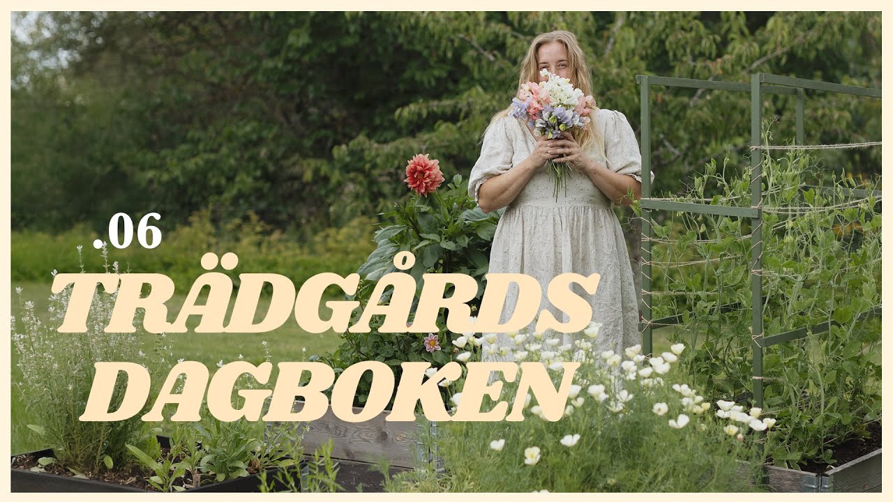 Mina trädgårdsdrömmar & favoritblommor i buketter 💐 | Trädgårdsdagboken .06