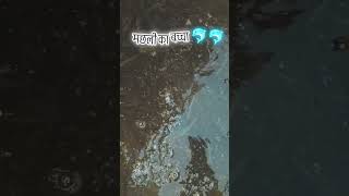 fangas fish seeds #dailyreels #video#fishing#farming