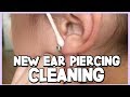 HOW TO CLEAN YOUR NEWLY PIERCED EARS - Ear Piercing Aftercare