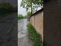 Дождь в Таганроге