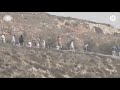 Jewish settlers throwing rocks at Palestinians near Yitzhar