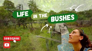 Life In The Bushes: KAFOUNTINE, CASAMANCE (SENEGAL)
