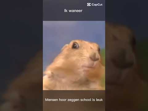 Talking Tom Cat Part 13761 #Shorts