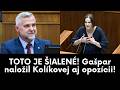 TOTO JE ŠIALENÉ! Gašpar naložil Kolíkovej aj opozícii! #smersd #politika