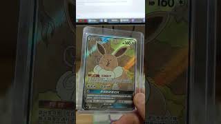 Discover the Rare Eevee GX Card from the Pokemon S-Chinese Series Discover the Rare Eevee GX Card from the Pokemon S-Chinese Series