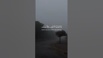 ﴿ يَا أَيُّهَا النَّاسُ اتَّقُوا رَبَّكُمْ ﴾❤️‍🩹 #القرآن_الكريم #تلاوة_خاشعة #quran