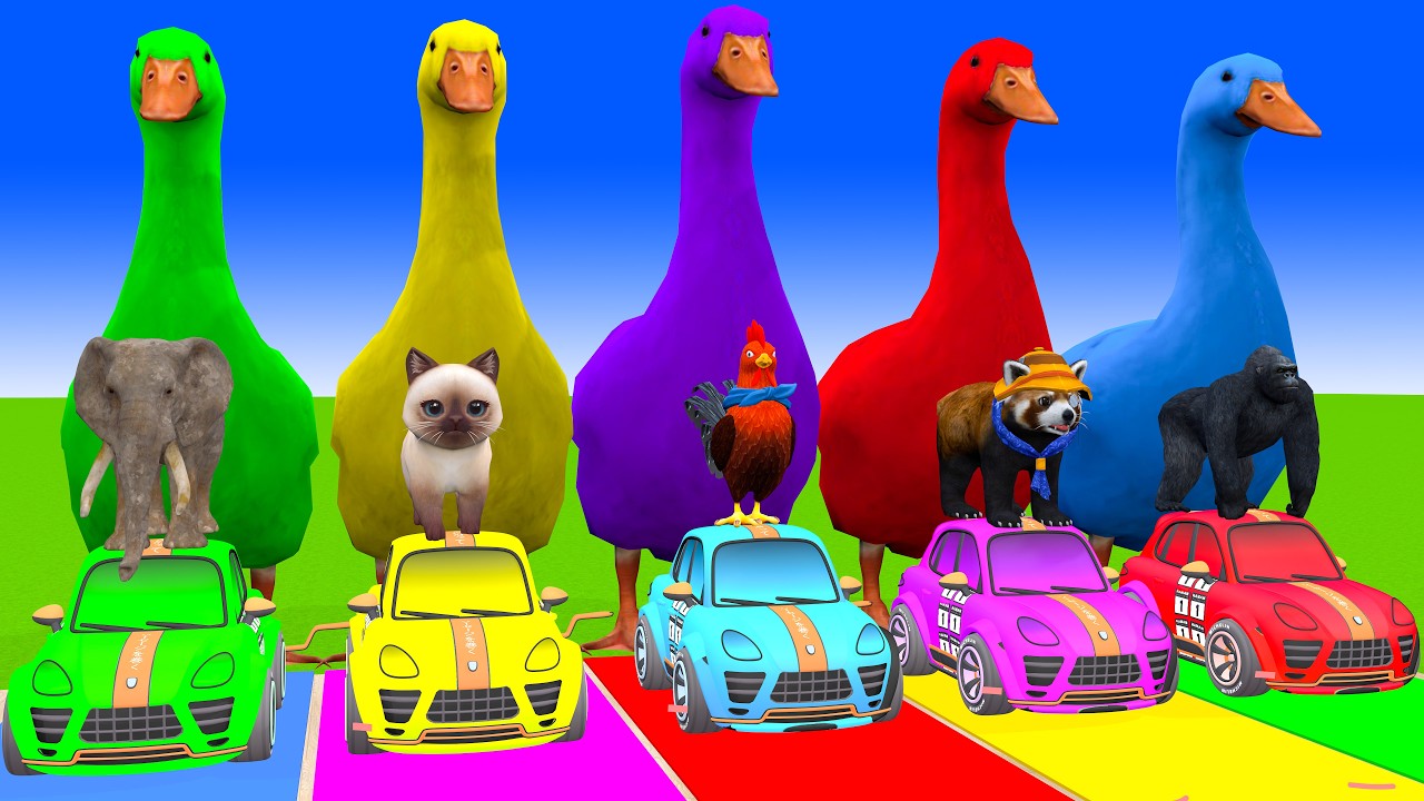 Long Slide Game With Cow Elephant Gorilla Hippopotamus Tiger 3d Animal Game Funny 3d Animals