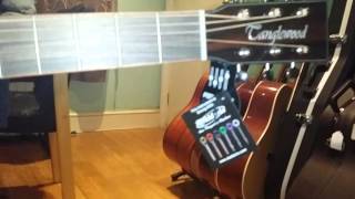 Tanglewood TWJFE  Demo 2