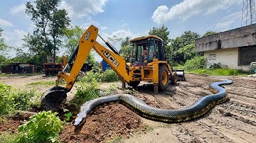 New JCB 3dx Xpert Loading Mud Tractor