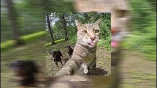 stay with u - baby boat (sped up)