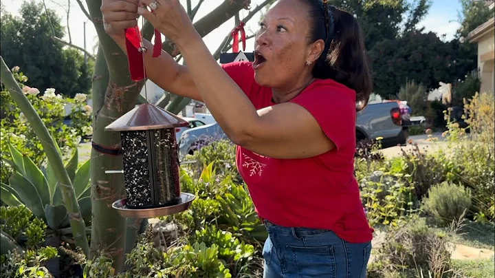 December in the Garden: Birdfeeders, Festive Porch & mini garden tour♥️🎄♥️