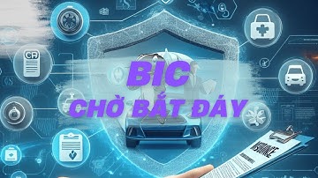 Bảo hiểm phi nhân thọ - Chờ về đáy rồi hãy mua | Cổ phiếu BIC PVI