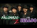 Palomazo con Grupo Pesado | Marzo 9, 2017