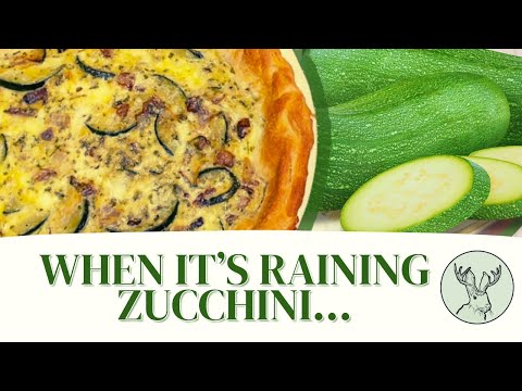 Recipe Zucchini Pie Crescent Rolls