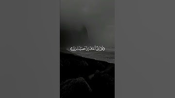 ما تيسر من سوره الزمر الآية 13 الشيخ ياسر الدوسري TikTok rasamtak#quran