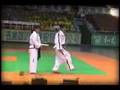 ITF Taekwondo demo by North Korean Taekwondo Demo Team