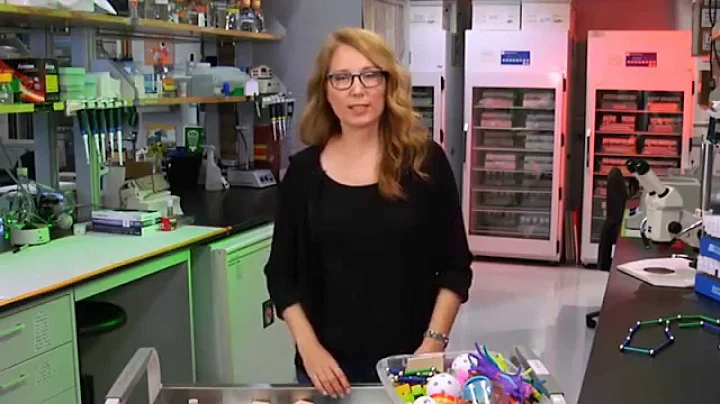 Understanding Niche Cells | Science: Out of the Box