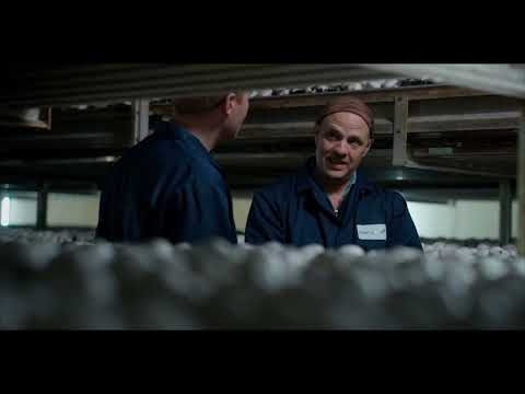 M&S ‘Farm to Foodhall’ - Mushrooms | Television Commercial.