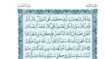 (3) القرآن الكريم الجزء الثالث مكتوب الشيخ محمد صديق المنشاوي
