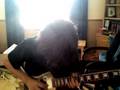 Sweet Child of Mine Intro Cover