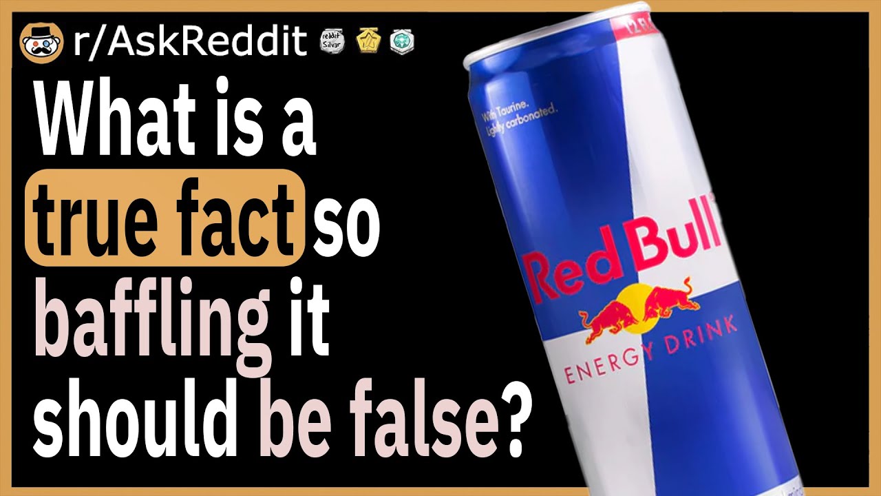 What is a true fact so baffling, it should be false?