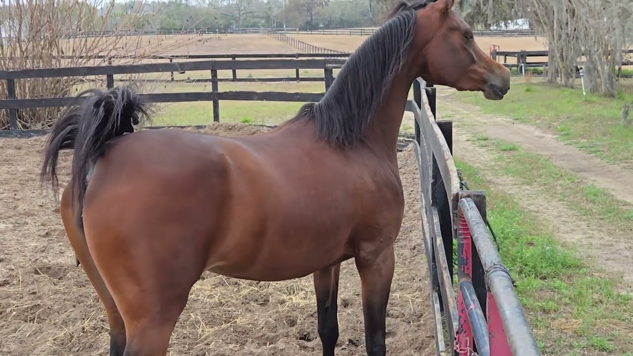 MD Zaahira 02-28-2026