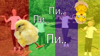 Цыплёнок Пи