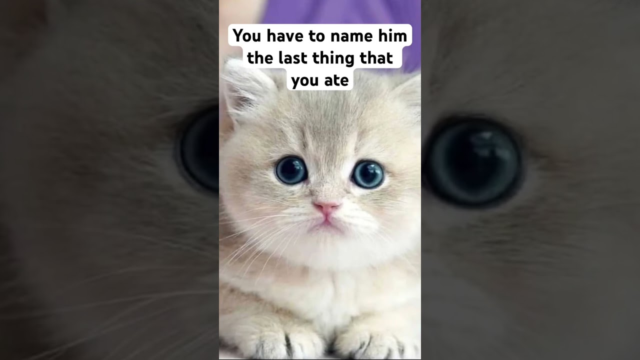 You have to name him the last thing that you ate