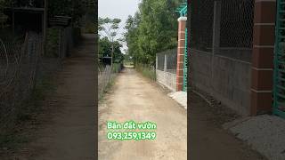 ✅Bán đất vườn Phước hậu Mỹ Lộc cần giuộc Long an,đường xe 🚗tới đất,