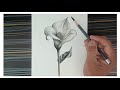 How to draw a flower step by step with pencil.