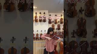 ドイツ製 バイオリン Ernst Heinrich Roth 4/4サイズ 1963年製（展示