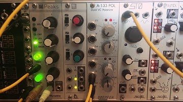 Doepfer A-133 VC Polarizer Overview/Tutorial