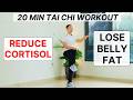 20-Min Tai Chi Workout - Lose Belly Fat - Reduce Cortisol - Burn Fat Naturally