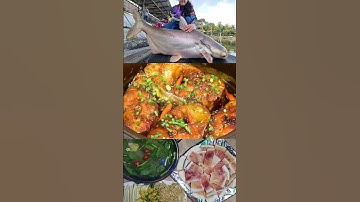 Câu cá tra dầu khổng lồ ở sông Mê Công