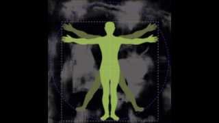 What is Bodymapping