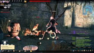 Vindictus hold 3
