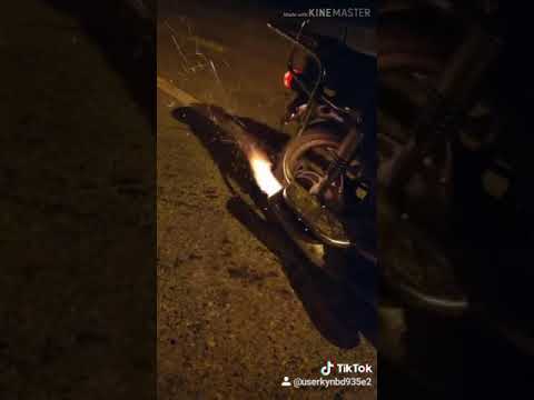 Язык дракона альфа