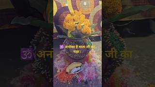 🕉️ अनोखा है माता जी का घड़ा | अद्भुत चमत्कार#durgamaa #maadurga #navratri2025 #navratrivibes #viral