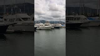 Puerto deportivo de Santander, el más bonito del mundo #cantabria #santander #puerto(3)